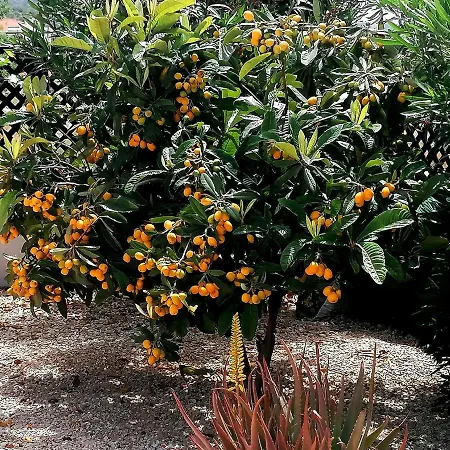 Hébergement de vacances A Heaven On Earth ενας επιγειος παραδεισος *