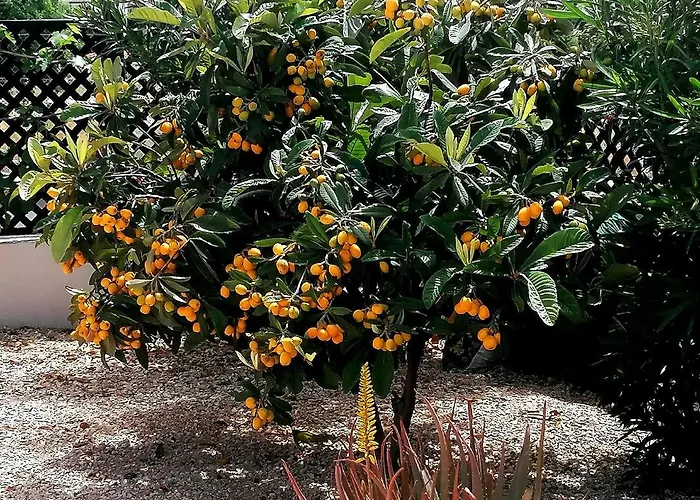 別荘 A Heaven On Earth ενας επιγειος παραδεισος *